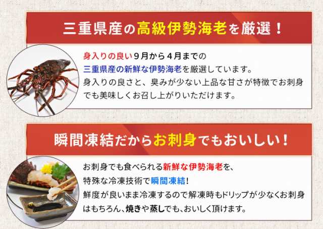 伊勢海老 三重県伊勢志摩産 ２尾で約６００ｇ 送料無料 刺身用瞬間冷凍