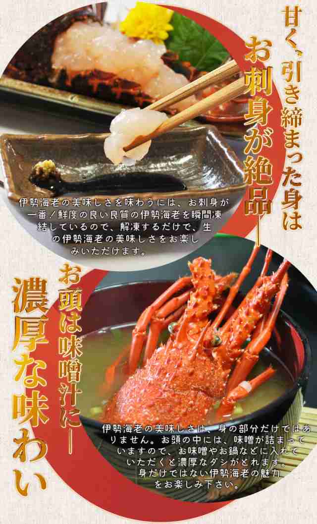 伊勢海老 三重県伊勢志摩産 ２尾で約６００ｇ 送料無料 刺身用瞬間冷凍