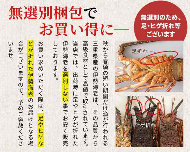 伊勢海老 三重県伊勢志摩産 ２尾で約６００ｇ 送料無料 刺身用瞬間冷凍