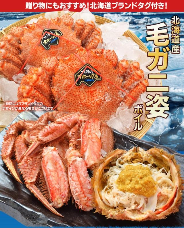 毛ガニ 姿 ボイル ３尾 約１．５ｋｇ（約５００ｇ×３杯） 北海道 ブランドタグ付 毛蟹 毛がに 冷凍 送料無料 蟹 かにみそ 海鮮_1