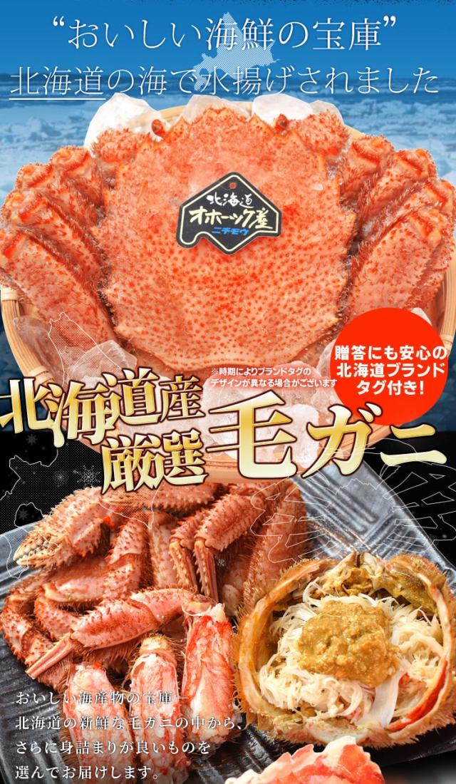 毛ガニ 姿 ボイル ３尾 約１．５ｋｇ（約５００ｇ×３杯） 北海道 ブランドタグ付 毛蟹 毛がに 冷凍 送料無料 蟹 かにみそ 海鮮_2