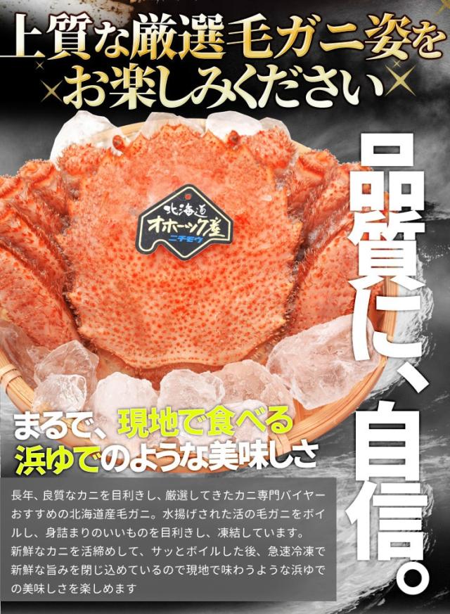 毛ガニ 姿 ボイル ３尾 約１．５ｋｇ（約５００ｇ×３杯） 北海道 ブランドタグ付 毛蟹 毛がに 冷凍 送料無料 蟹 かにみそ 海鮮_4