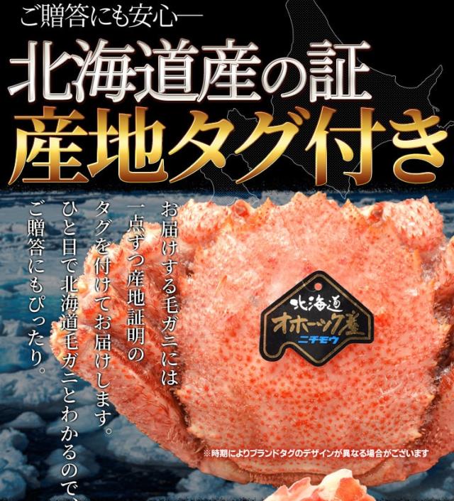毛ガニ 姿 ボイル ３尾 約１．５ｋｇ（約５００ｇ×３杯） 北海道 ブランドタグ付 毛蟹 毛がに 冷凍 送料無料 蟹 かにみそ 海鮮_7