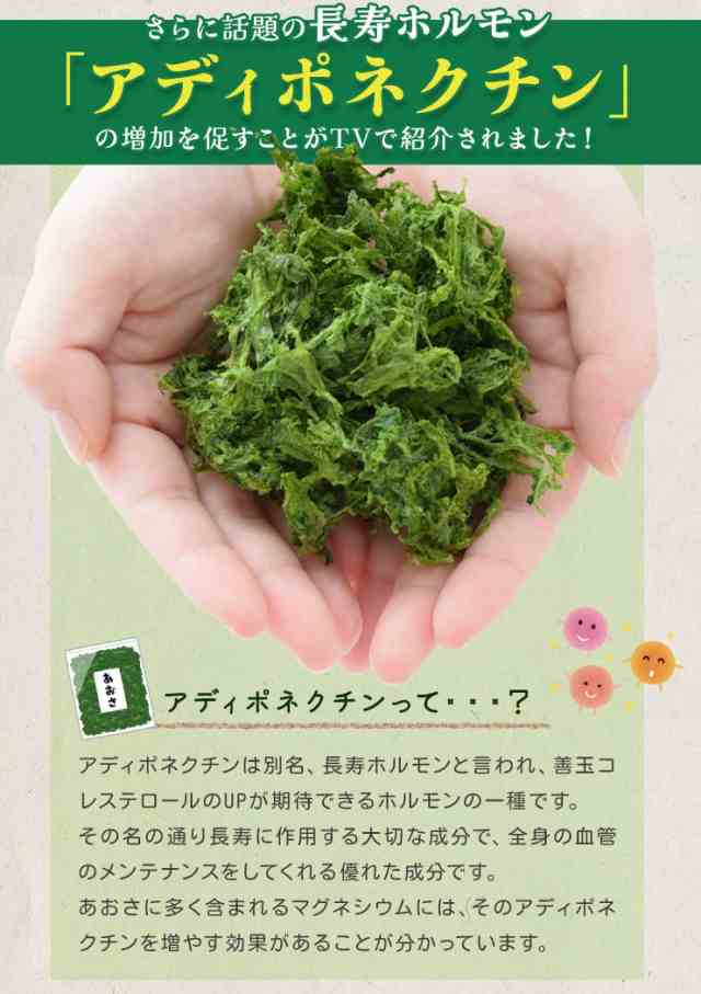 あおさのり ９０ｇ 産地厳選 三重県産 愛知県産 海藻 アオサ 海苔 チャック付袋入 お買得の通販はau PAY マーケット - 伊勢鳥羽志摩特産横丁  | au PAY マーケット－通販サイト