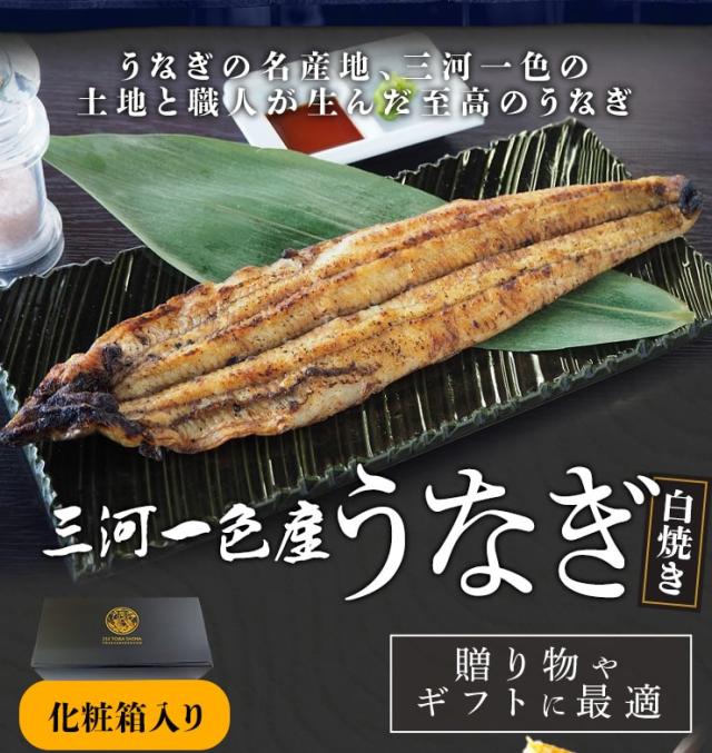 再発送用 ZB0072 - 非常停止ロープスイッチ - ifm