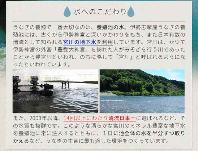 PAY　蒲焼き　伊勢鳥羽志摩特産横丁　送料無料　丑の日　伊勢志摩産　うなぎ　冷凍　au　鰻　国産　セット　マーケット　たれ付　白焼き２尾）　特大サイズ４尾（たれ２尾　ウナギ　PAY　個包装　化粧箱入の通販はau　マーケット－通販サイト