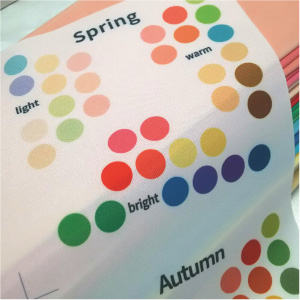 メール便対応 パーソナルカラー診断 ４シーズン 春夏秋冬 12分類色見本 30センチの通販はau Pay マーケット ルシールカラー