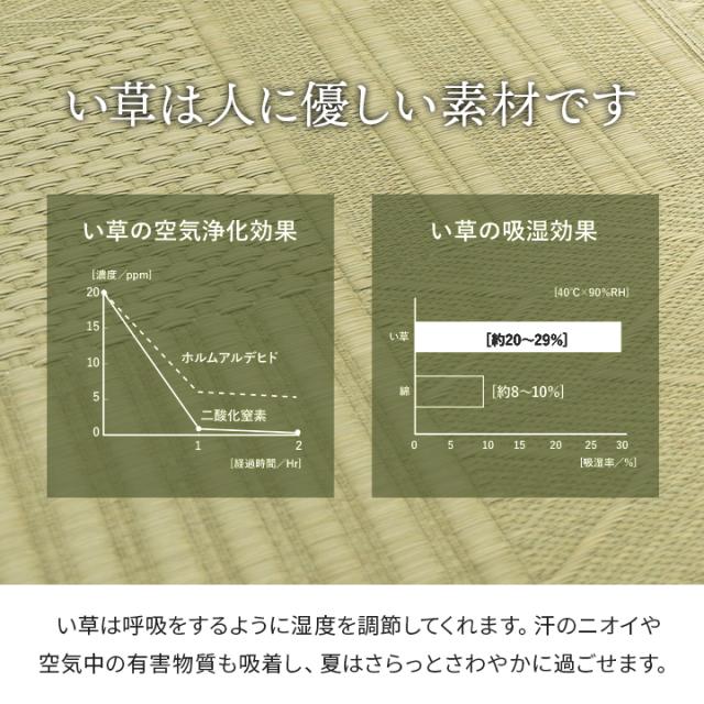 い草カーペット 6畳 上敷き 約286x382cm 本間 市松模様 い草ラグ カーペット い草 いぐさ 上敷 ラグ ラグマット マット リバーシブル 日焼け防止 傷防止 い草上敷き 敷物 ござ シンプル 和室 おしゃれ