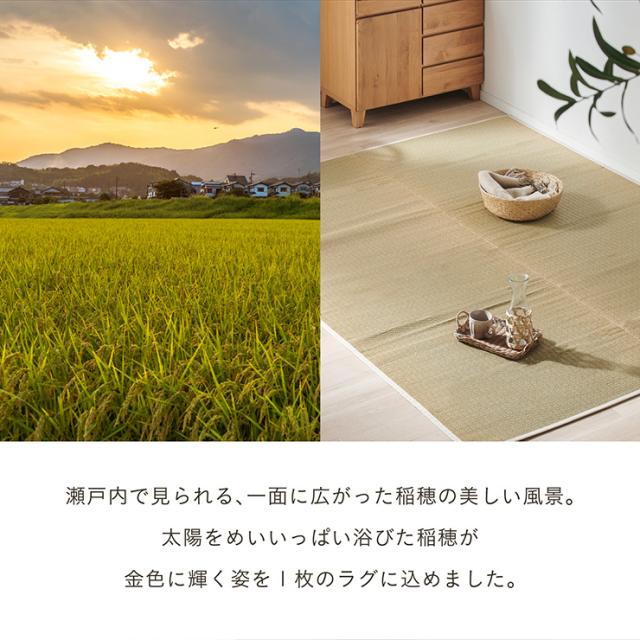 国産 い草ラグ 穂波 191x250cm 無地 ラグ マット 敷物 い草 ござ マット フロアマット 長方形 リビング 寝室 子供部屋 リラックス 抗カビ加工 滑りにくい加工 抗菌 消臭 吸音 湿度調整 空気清浄 ナチュラル おしゃれ