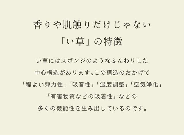 国産 い草ラグ 穂波 191x250cm 無地 ラグ マット 敷物 い草 ござ マット フロアマット 長方形 リビング 寝室 子供部屋 リラックス 抗カビ加工 滑りにくい加工 抗菌 消臭 吸音 湿度調整 空気清浄 ナチュラル おしゃれ