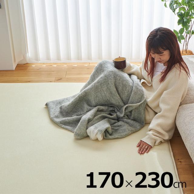 【ホットカーペット/床暖房対応】ラグ 下敷き 防音 ラグマット 170x230cm ピタリプレミアム 低反発 カーペット 下敷きラグ 洗える 長方形 3畳 絨毯 おしゃれ すべり止め 1人暮らし オールシーズン_2