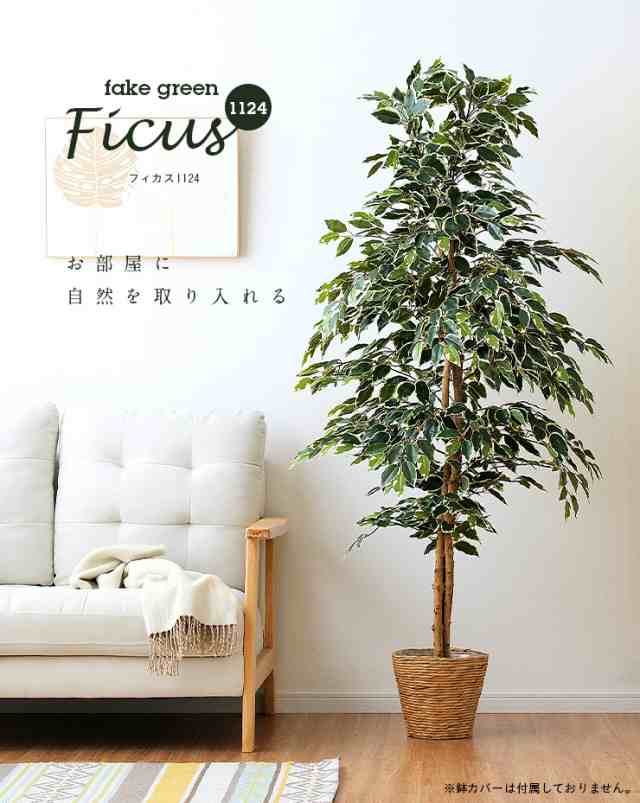 人工観葉植物 フェイクグリーン Ficuse(フィカス) 1124 H170cm 2種対応