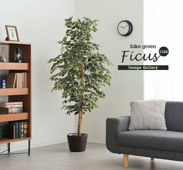 人工観葉植物 フェイクグリーン Ficuse(フィカス) 1124 H170cm 2種対応