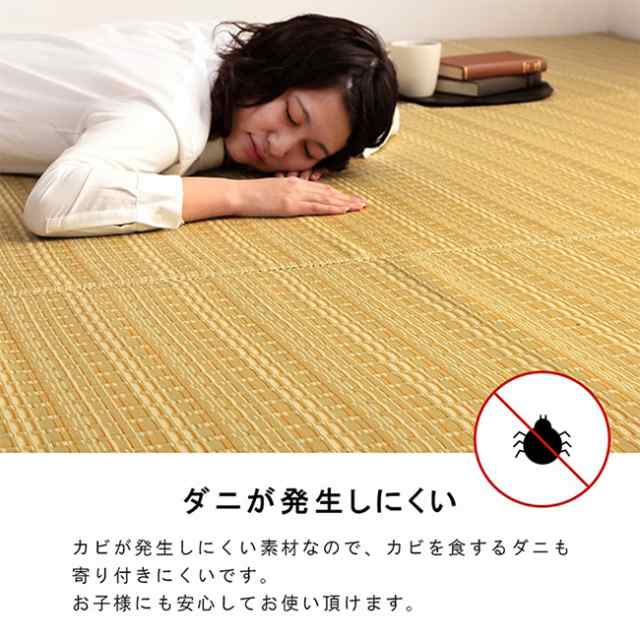 マット ラグ い草調カーペット バルカン 団地間4.5畳 255x255cm 日本製 リビング ダイニング 子供部屋 寝室 新生活 ダイニングラグ リビングマット 洗えるの通販は
