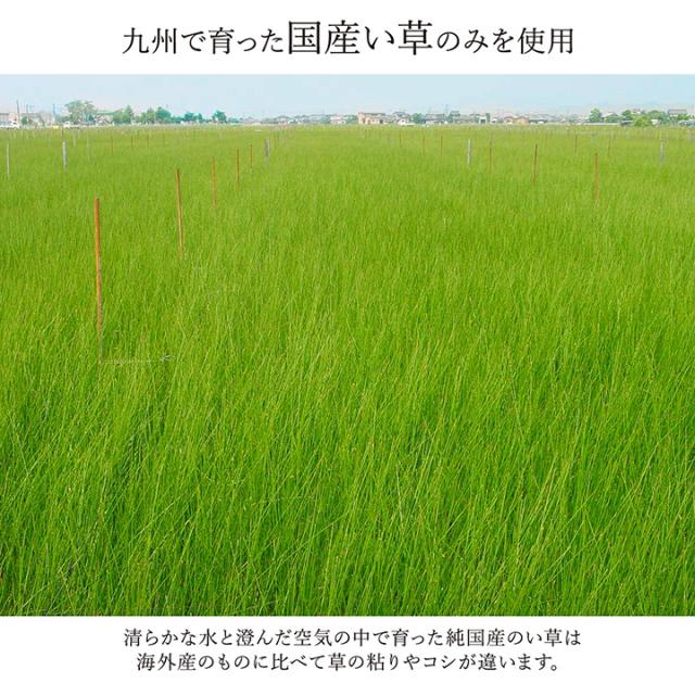 マット おしゃれ い草ラグカーペット DXランクス 176x230cm 日本製 九州産い草 消臭効果 調湿効果 リビング ダイニング 子供部屋 寝室 裏貼り加工 弾力性 丈夫_7