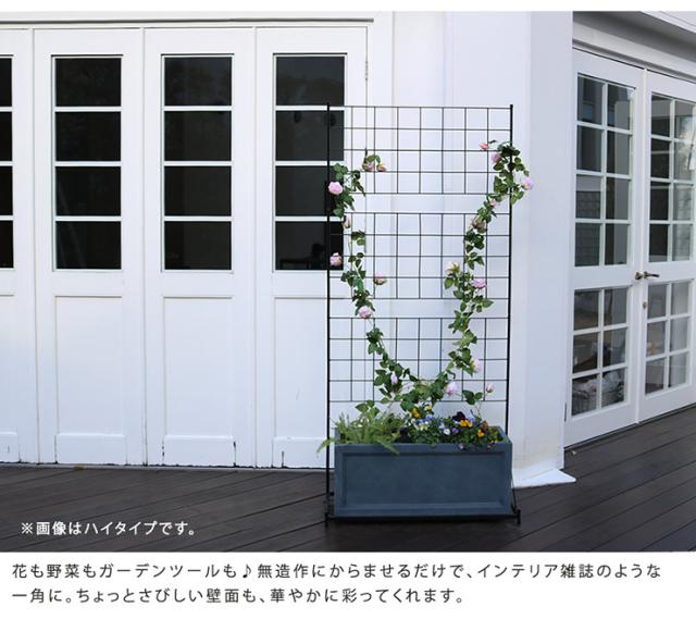 柵 おしゃれ プランター台付フェンス ロータイプ グラフ ガーデニング アイアンフェンス 園芸 トレリス 庭 屋外 薔薇 バラ 朝顔 ゴーヤ アンティーク風 仕切り_4