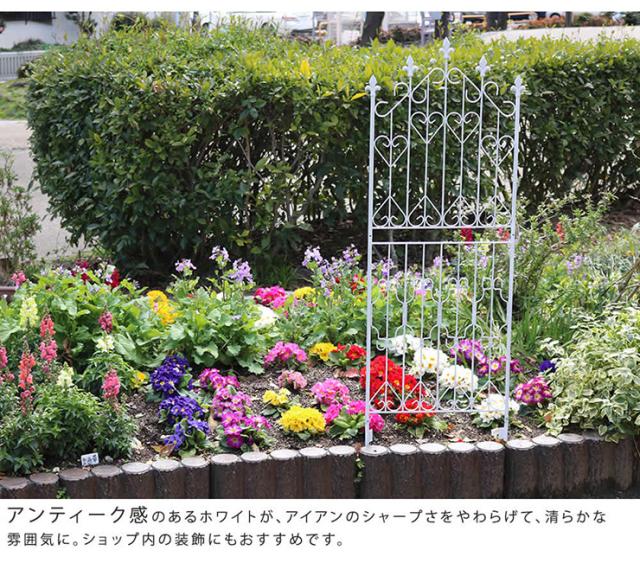 柵 おしゃれ アイアンフェンス150 ロータイプ 4枚組 頑丈 通気性 開放感 エレガント アンティーク風 ナチュラル かわいい ガーデニング グリーンカーテン 仕切り_8