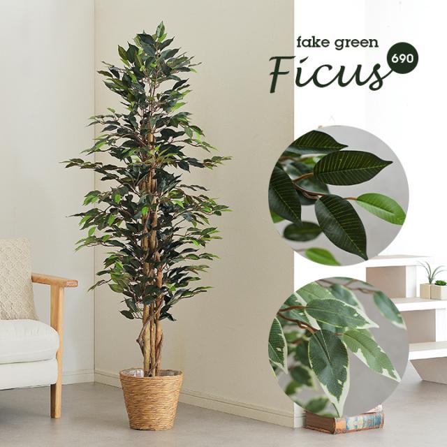 還元祭クーポン配布中 人工観葉植物 フェイクグリーン Ficuse フィカス 690 H150cm H160cm 2種対応 人工植物 観葉植物 おしゃれ フェの通販はau Pay マーケット スーパーカグ