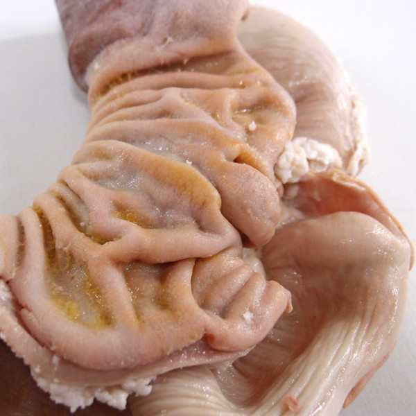 国産栃木県産豚ガツ 胃 約300gの通販はau Pay マーケット わたせい プレミアムデリカ