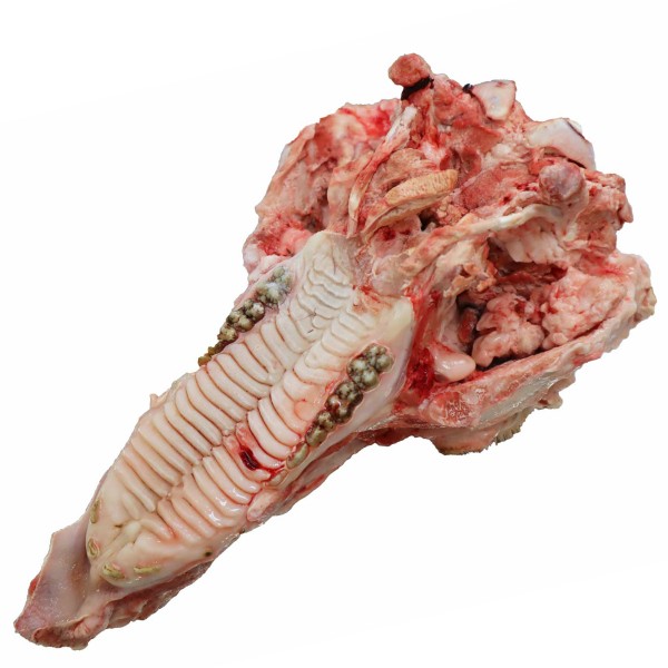 豚骨様　確認用 プロ用栃木県産豚頭骨カット約1.5kg Domestic pork skull+-1.5kg