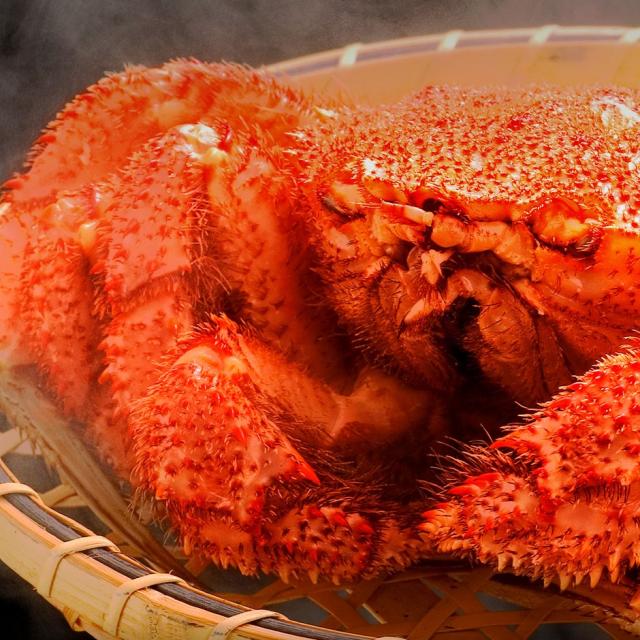 北海道枝幸産 プレミアム毛蟹 570g【北海道】【高品質】カニ 毛ガニ 冷凍 ボイル 蟹 毛ガニ けがに カニみそ カニ味噌 グルメ プレゼント 食品 誕生日 贈り物 高級 内祝い 出産 結婚_4