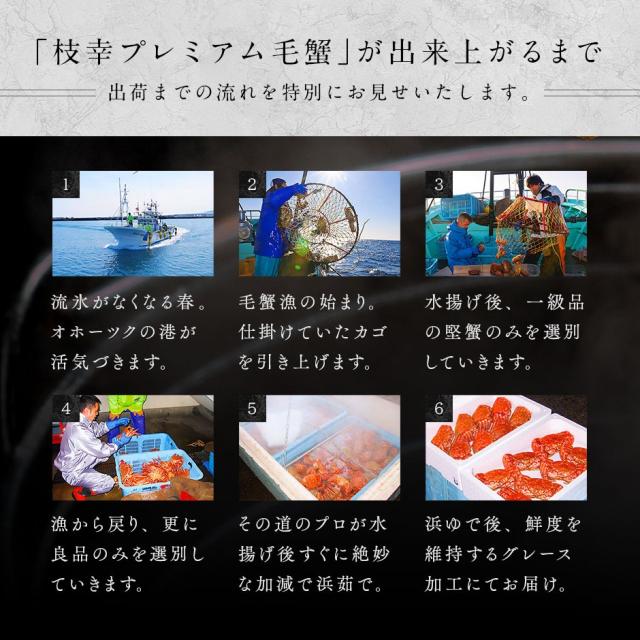 北海道枝幸産 プレミアム毛蟹 570g【北海道】【高品質】カニ 毛ガニ 冷凍 ボイル 蟹 毛ガニ けがに カニみそ カニ味噌 グルメ プレゼント 食品 誕生日 贈り物 高級 内祝い 出産 結婚_5