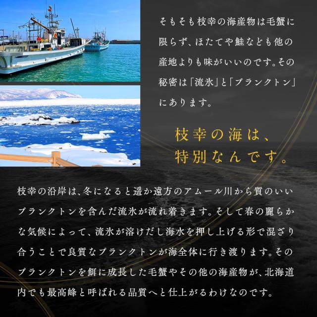北海道枝幸産 プレミアム毛蟹 570g【北海道】【高品質】カニ 毛ガニ 冷凍 ボイル 蟹 毛ガニ けがに カニみそ カニ味噌 グルメ プレゼント 食品 誕生日 贈り物 高級 内祝い 出産 結婚_8