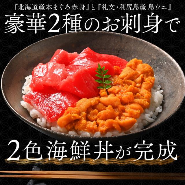 海鮮丼 素材にこだわる海鮮2種丼セット【送料無料】　礼文島産 キタムラサキウニ　北海道 松前産本まぐろ_3