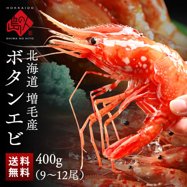 北海道 増毛産 ボタンエビ 400g(9-12尾前後)【希少な北海道産】【送料無料】 北海道 お取り寄せグルメ 牡丹海老 ぼたんえび えび 海老 食品 食べ物 海鮮 海産物 バーベキュー BBQ お刺身 トヤマエビ 秋 グルメ 絶品 お取り寄せ  の通販は