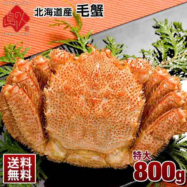 毛蟹 特大毛ガニ 800g 北海道産 送料無料 身入り カニ味噌もぎっしり 当店バイヤーが選び抜いた 迫力のサイズ かに カニ 蟹 カニの通販はau Pay マーケット 島の人 礼文島の四季 北海道ギフト