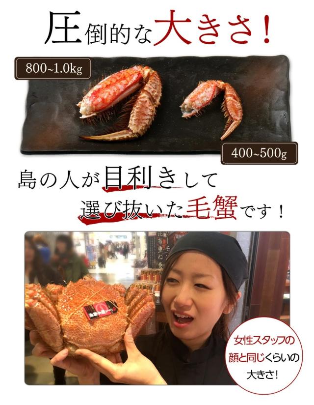 毛蟹 さくら 800g 北海道 稚内産 送料無料 かに カニ 蟹 毛ガニ かに 特大 お土産 お取り寄せグルメ かにみそ 味噌の通販はau Pay マーケット 島の人 礼文島の四季 北海道ギフト