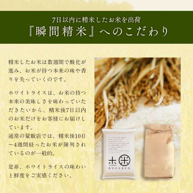 北海道産　白米　令和5年度産　ななつぼし　CL【旬米〜精米から7日以内〜】特A　マーケット－通販サイト　(選べる精米方法)　au　PAY　10kg　新米】お米　PAY　マーケット　玄米　無洗米　の通販はau　特別減農薬　島の人