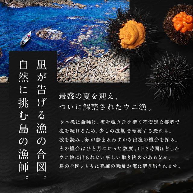 ウニ うに 礼文島産 うに 2色食べ比べセット 170g エゾバフンウニ80g キタムラサキウニ90g 送料無料 北海道 雲丹 無添加 塩水 グルメ 食品 寿司 生うに_3