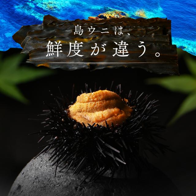 ウニ うに 礼文島産 うに 2色食べ比べセット 170g エゾバフンウニ80g キタムラサキウニ90g 送料無料 北海道 雲丹 無添加 塩水 グルメ 食品 寿司 生うに_6