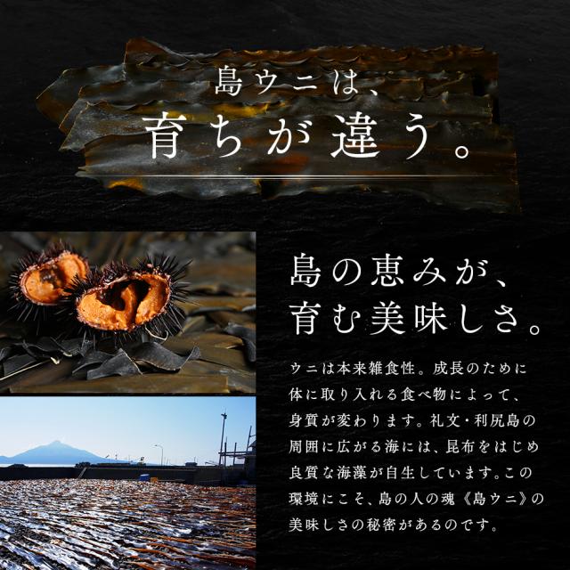 ウニ うに 礼文島産 うに 2色食べ比べセット 170g エゾバフンウニ80g キタムラサキウニ90g 送料無料 北海道 雲丹 無添加 塩水 グルメ 食品 寿司 生うに_8