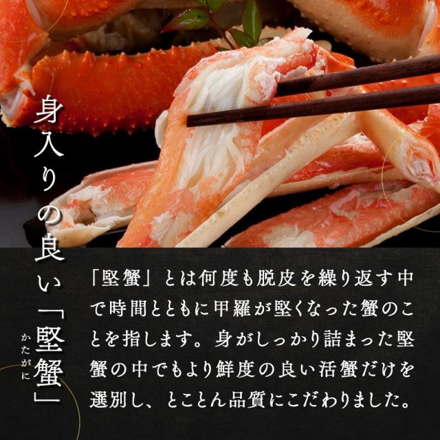 【2尾セット】本ズワイガニ 姿 400-450g前後 2尾_4