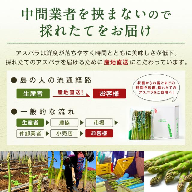 アスパラ 北海道 富良野産 グリーンアスパラガス サイズ混 2.0kg(露地栽培) 訳あり【送料無料】【産地直送】 アスパラガス 北海道 グルメ お取り寄せ お土産 ご自宅用_3