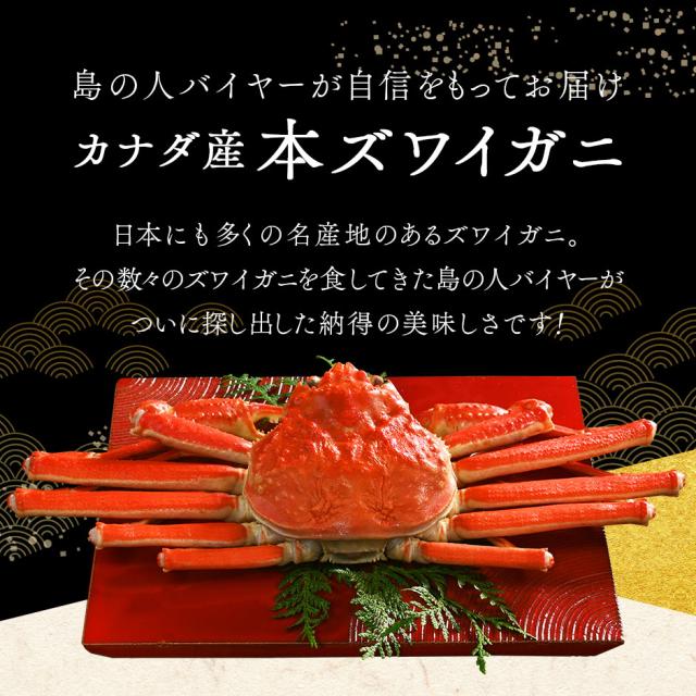 本ズワイガニ 姿 900g前後 1尾 【送料無料】_1