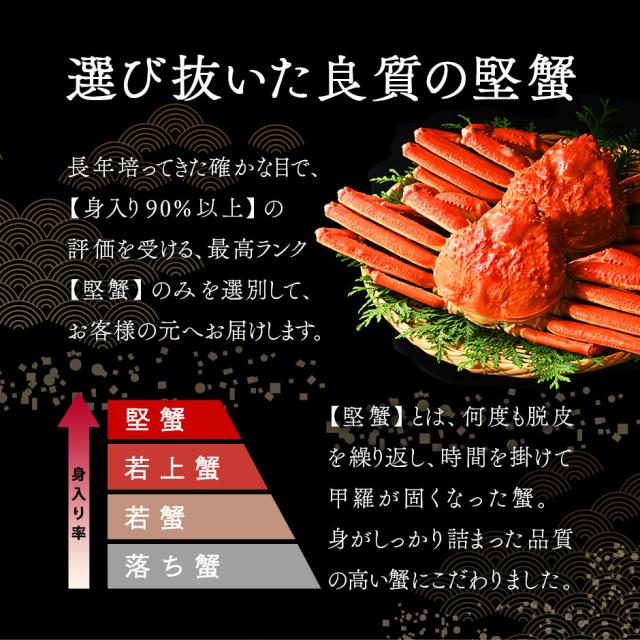 本ズワイガニ 姿 900g前後 1尾 【送料無料】_4