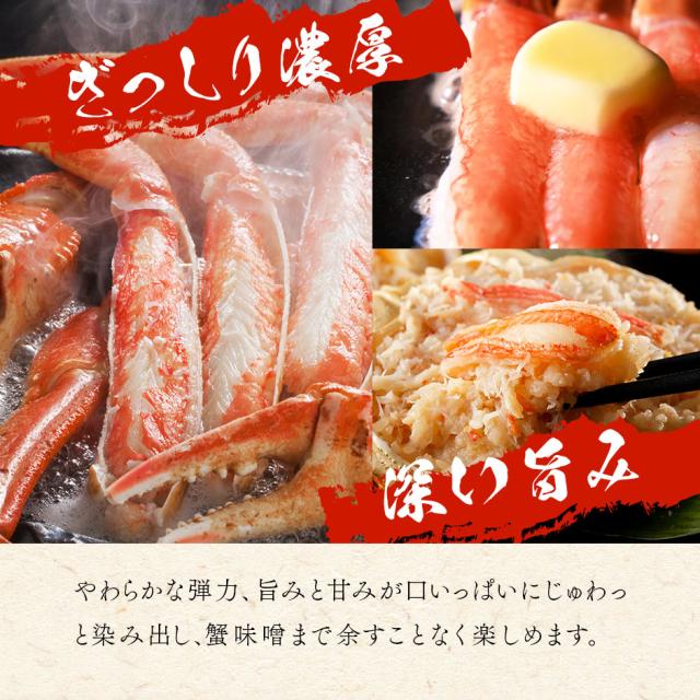 本ズワイガニ 姿 900g前後 1尾 【送料無料】_6
