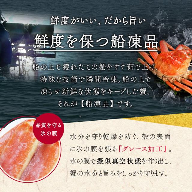 本ズワイガニ 姿 900g前後 1尾 【送料無料】_7