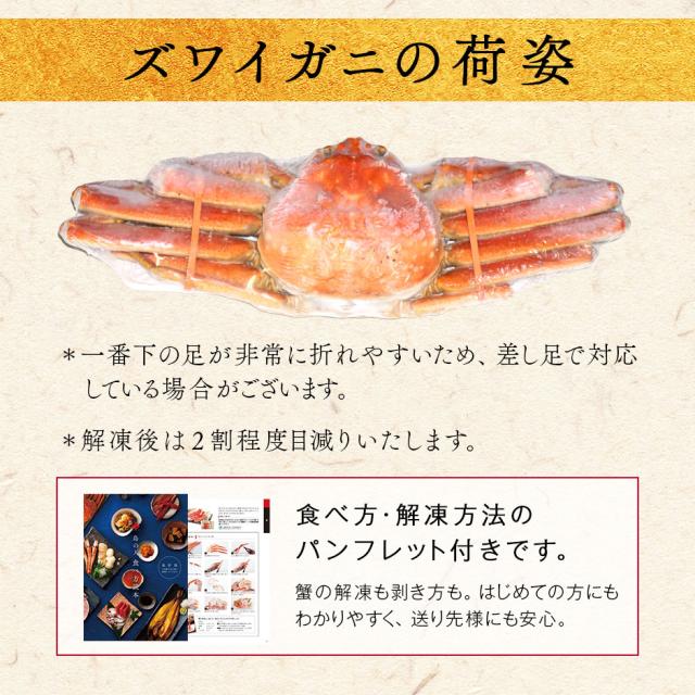 本ズワイガニ 姿 900g前後 1尾 【送料無料】_9