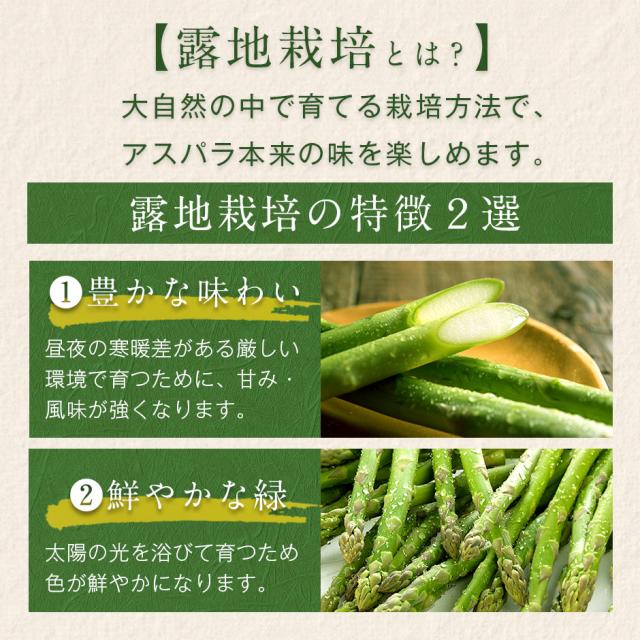 アスパラ 北海道 富良野産 グリーンアスパラガス サイズ混 2.0kg(露地栽培) 訳あり【送料無料】【産地直送】 アスパラガス 北海道 グルメ お取り寄せ お土産 ご自宅用_2