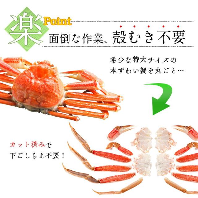 北海道 生オオズワイガニ ポーション 500g (14〜21本程度) 【送料無料】かに カニ 蟹 オオズワイガニ オオズワイ蟹 かにしゃぶ かに むき身 カニ グルメ 北海道より直送 海鮮 絶品 お取り寄せグルメ_4