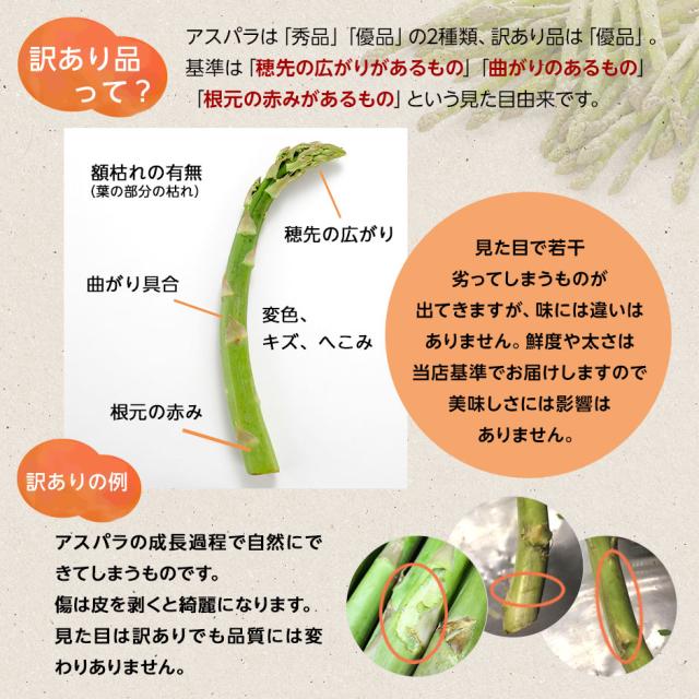 アスパラ 北海道 富良野産 グリーンアスパラガス サイズ混 2.0kg(露地栽培) 訳あり【送料無料】【産地直送】 アスパラガス 北海道 グルメ お取り寄せ お土産 ご自宅用_1