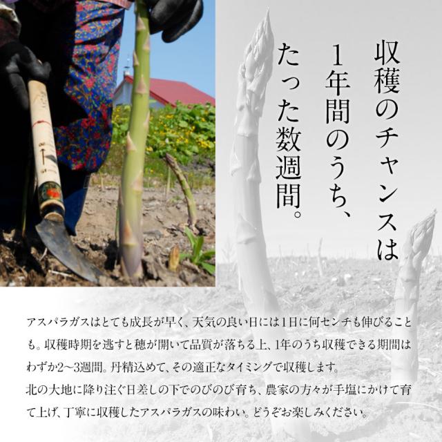 アスパラ 北海道 富良野産 グリーンアスパラガス サイズ混 2.0kg(露地栽培) 訳あり【送料無料】【産地直送】 アスパラガス 北海道 グルメ お取り寄せ お土産 ご自宅用_5
