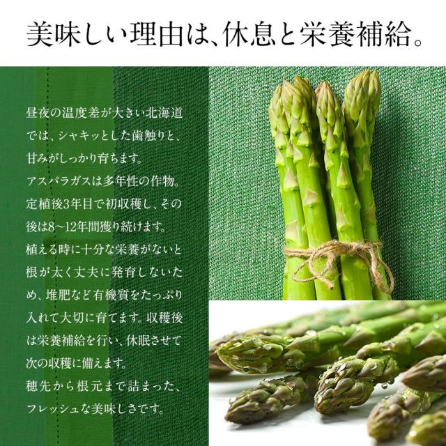 アスパラ 北海道 富良野産 グリーンアスパラガス サイズ混 2.0kg(露地栽培) 訳あり【送料無料】【産地直送】 アスパラガス 北海道 グルメ お取り寄せ お土産 ご自宅用_4