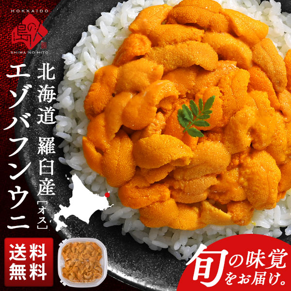 北海道 知床・羅臼産 生エゾバフンウニ オス 100g(ウニ丼大盛1杯分)【送料無料】生うに 塩水ウニ 塩水パック うに 雲丹 グルメ 食品 食べ物 寿司 海鮮丼 無添加 ミョウバン不使用 お取り寄せグルメ 海鮮 バフン バフンウニ 高級の通販は