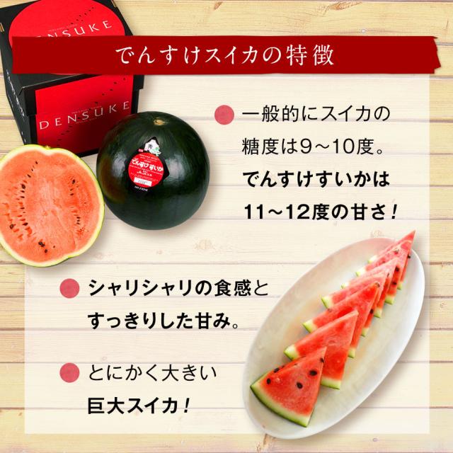 でんすけすいか 秀品 1玉　8kg【北海道 当麻産】【送料無料】【ご贈答用】お中元 御中元 西瓜 お取り寄せグルメ ギフト 食べ物 食品 景品 贈り物 果物 フルーツ 野菜_4