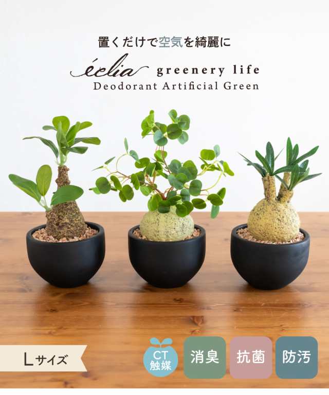 フェイクグリーン 多肉植物 コーデックス 鉢 おしゃれ